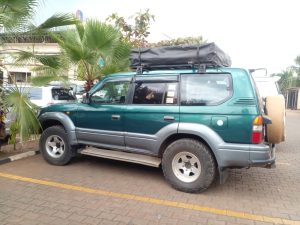 Self-Drive Car Rental