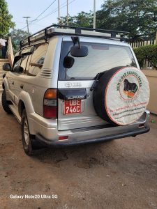 Self drive Car Rentals