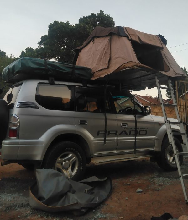 Roof tent cars: the smart choice for road tripping