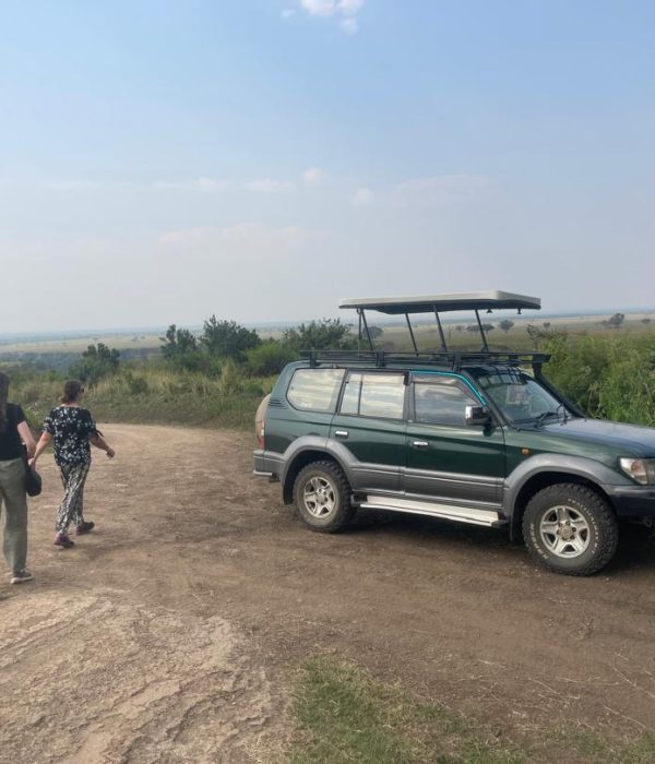 Is Uganda Safe for Self-Drive Safari Travelers During the 2026 Elections?
