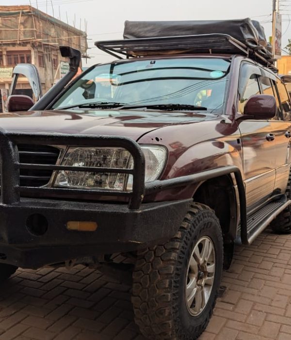 Top Reasons Why Tourists Should Rent a Car in Uganda