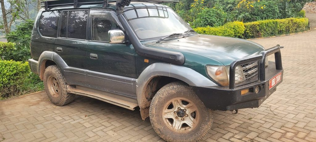 toyota land cruiser