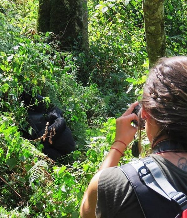 Explore gorilla trekking, wildlife safaris, crater lakes, and national parks on an unforgettable adventure through Uganda's most scenic destinations.