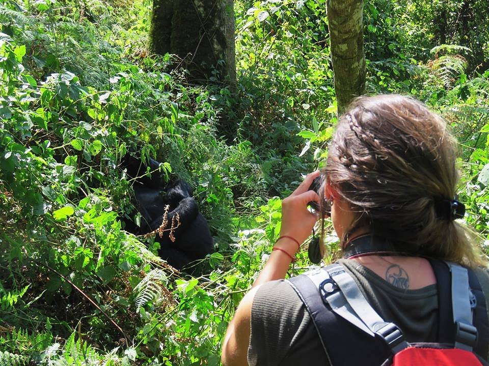 Explore gorilla trekking, wildlife safaris, crater lakes, and national parks on an unforgettable adventure through Uganda’s most scenic destinations. Explore gorilla trekking, wildlife safaris, crater lakes, and national parks on an unforgettable adventure through Uganda's most scenic destinations.