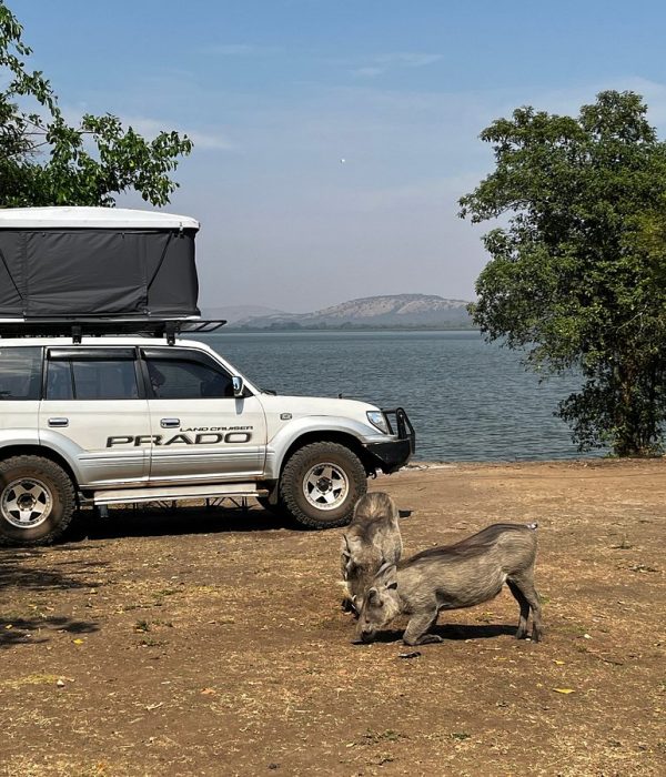 Uganda Car Rental: 9 Photos to Take Before You Drive Off
